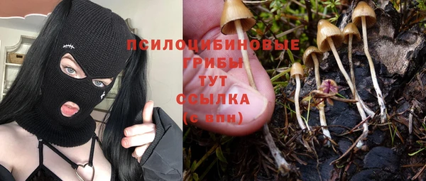 марки lsd Заводоуковск