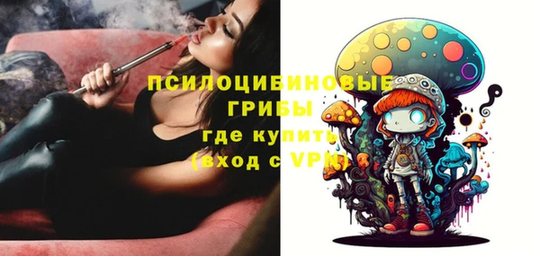 ECSTASY Заволжье