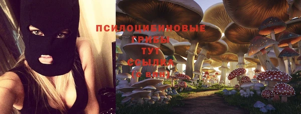 марки lsd Заводоуковск