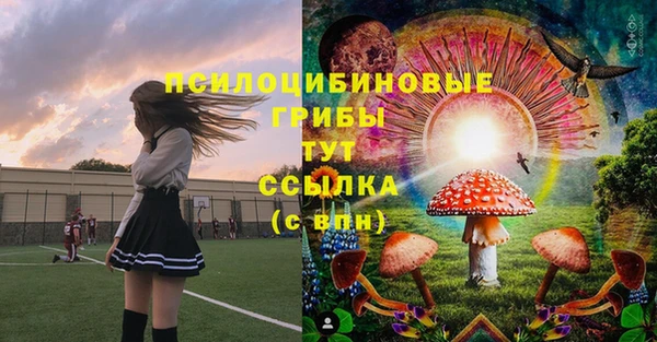 марки lsd Заводоуковск